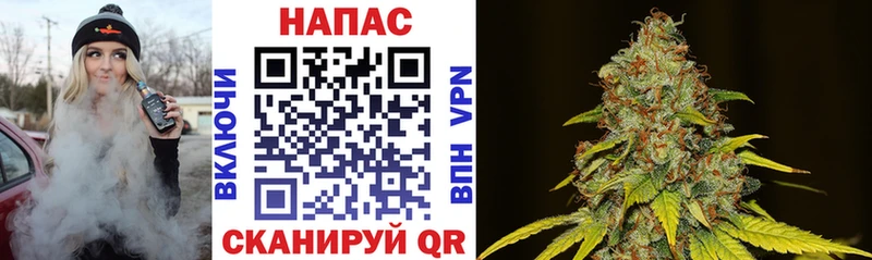 Бошки марихуана White Widow даркнет сайт Ростов-на-Дону